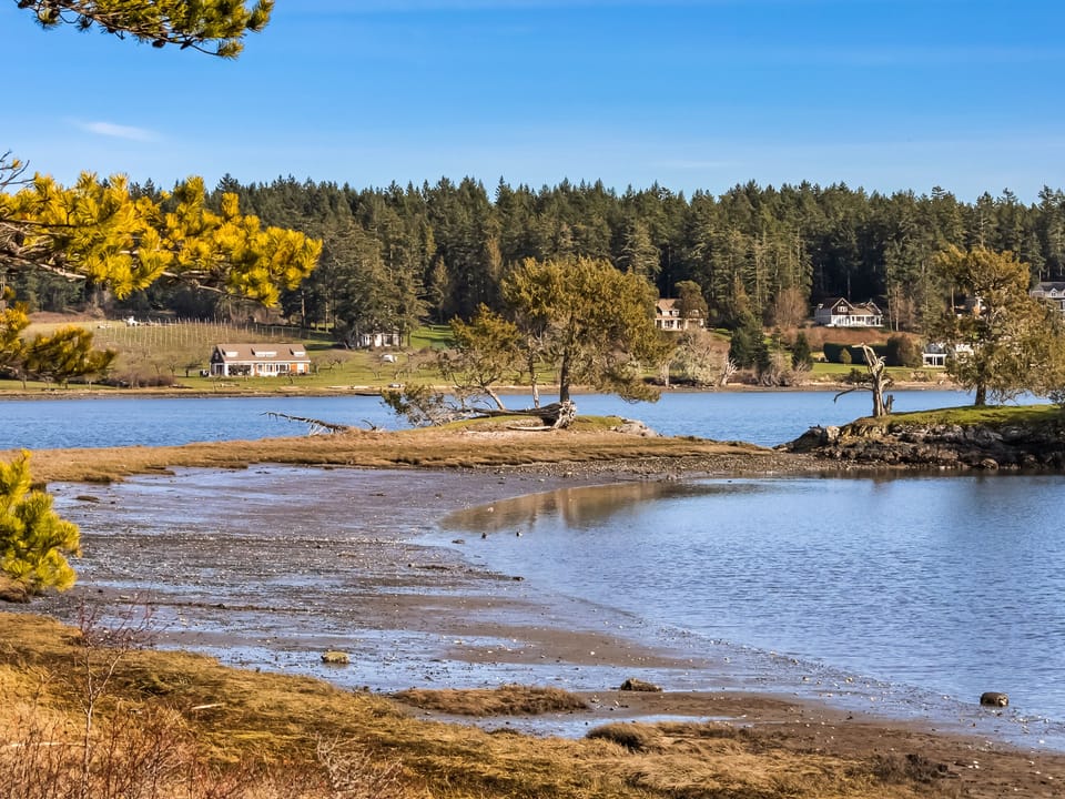 Beautiful Westcott Bay is at your fingertips at the Water's Edge on Westcott Bay!