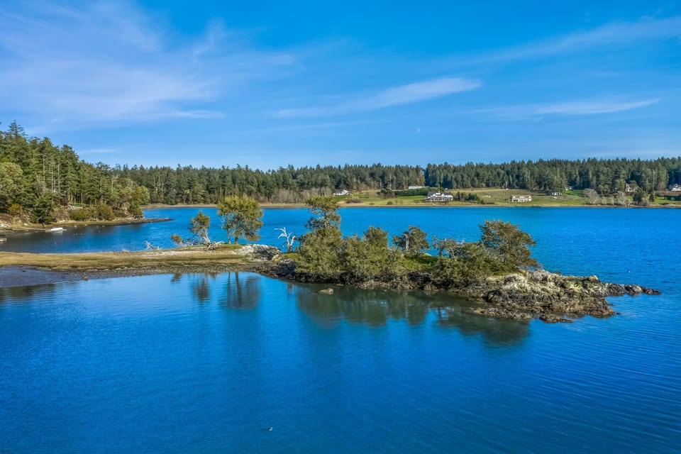 Beautiful Westcott Bay is at your fingertips at the Water's Edge on Westcott Bay!