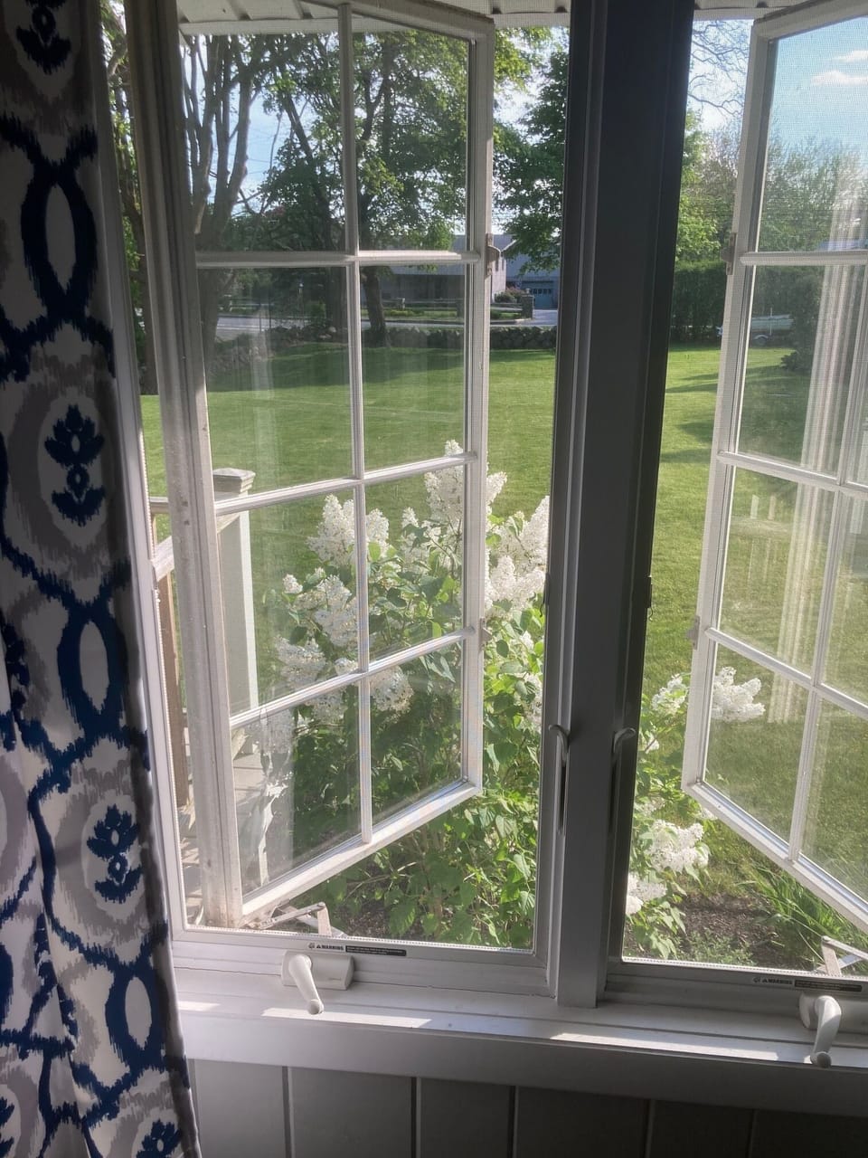 View out the front window