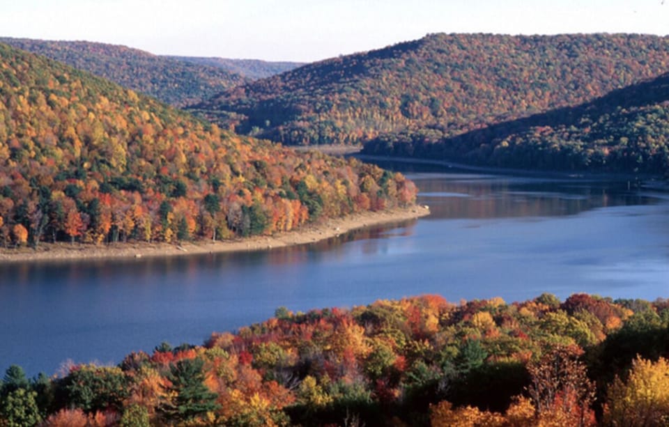 Stunning fall foliage.