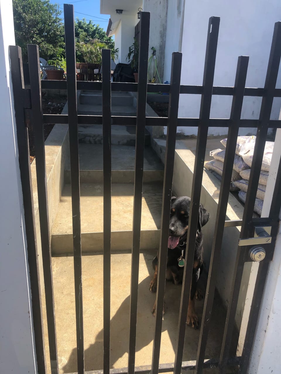 The entry gate.  We have a friendly dog named Maverick who may be outside
