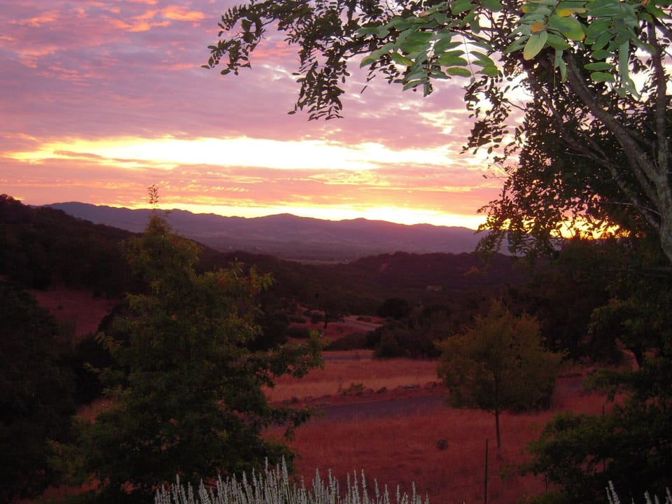 SUNSET VIEW