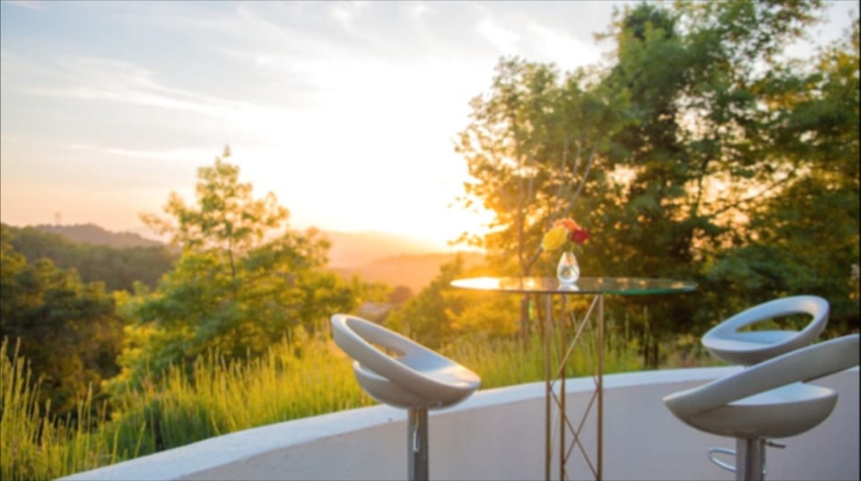 VIEW FROM TERRACE BEFORE SUNSET