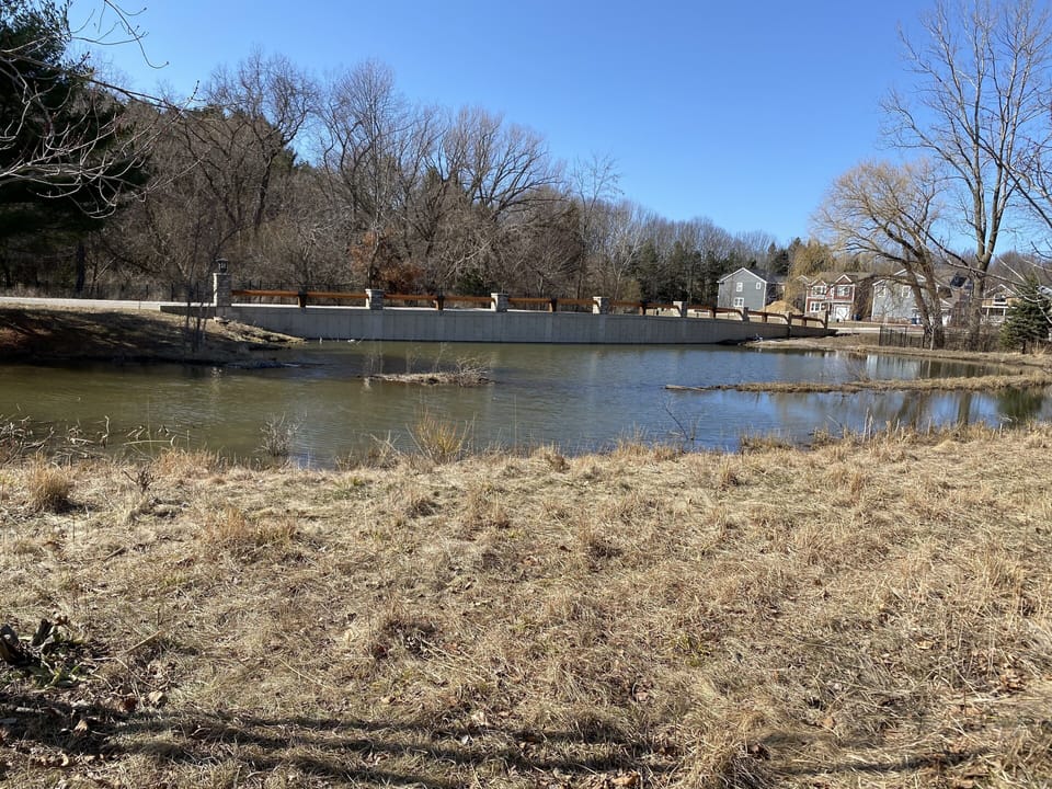View of the pond from the back patio, very peaceful. 