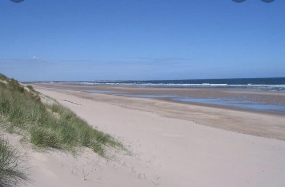 Local Beach
