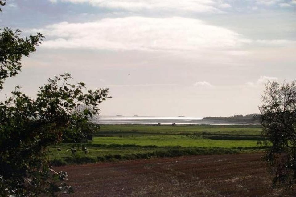 Immediate Surroundings [summer] (<1 km)