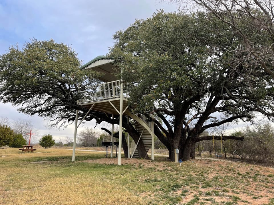 Tree House Shelter