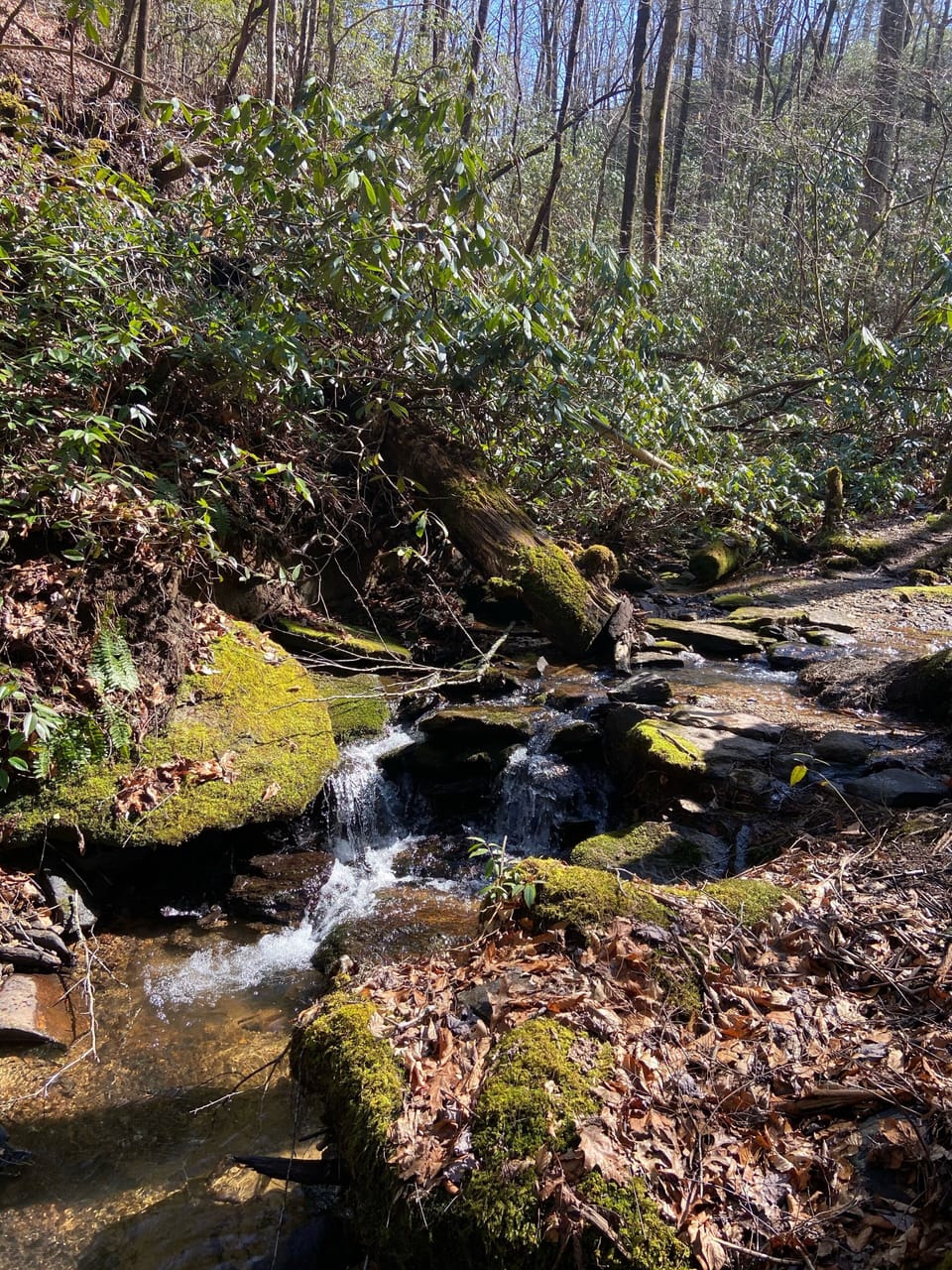 One of the many private hiking trails in Connestee Falls.