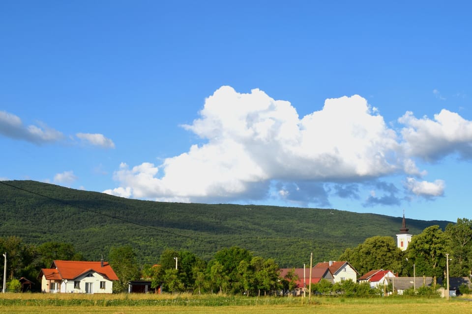 House is in the left corner of this photo