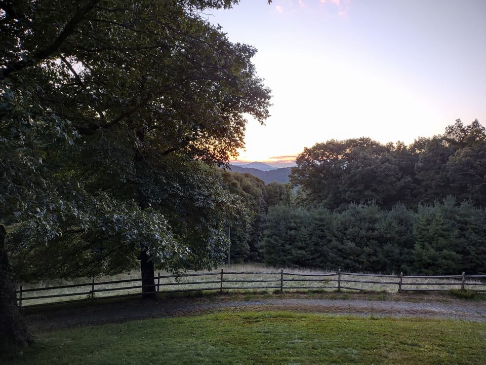 View from deck in summer.