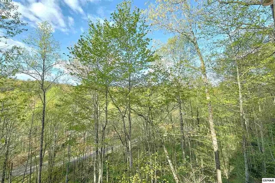 View from deck