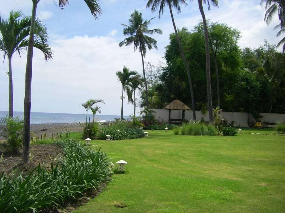 Garden, Park