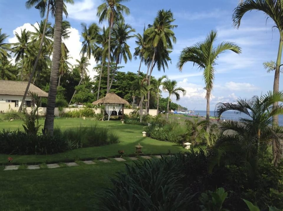 Garden, Park
