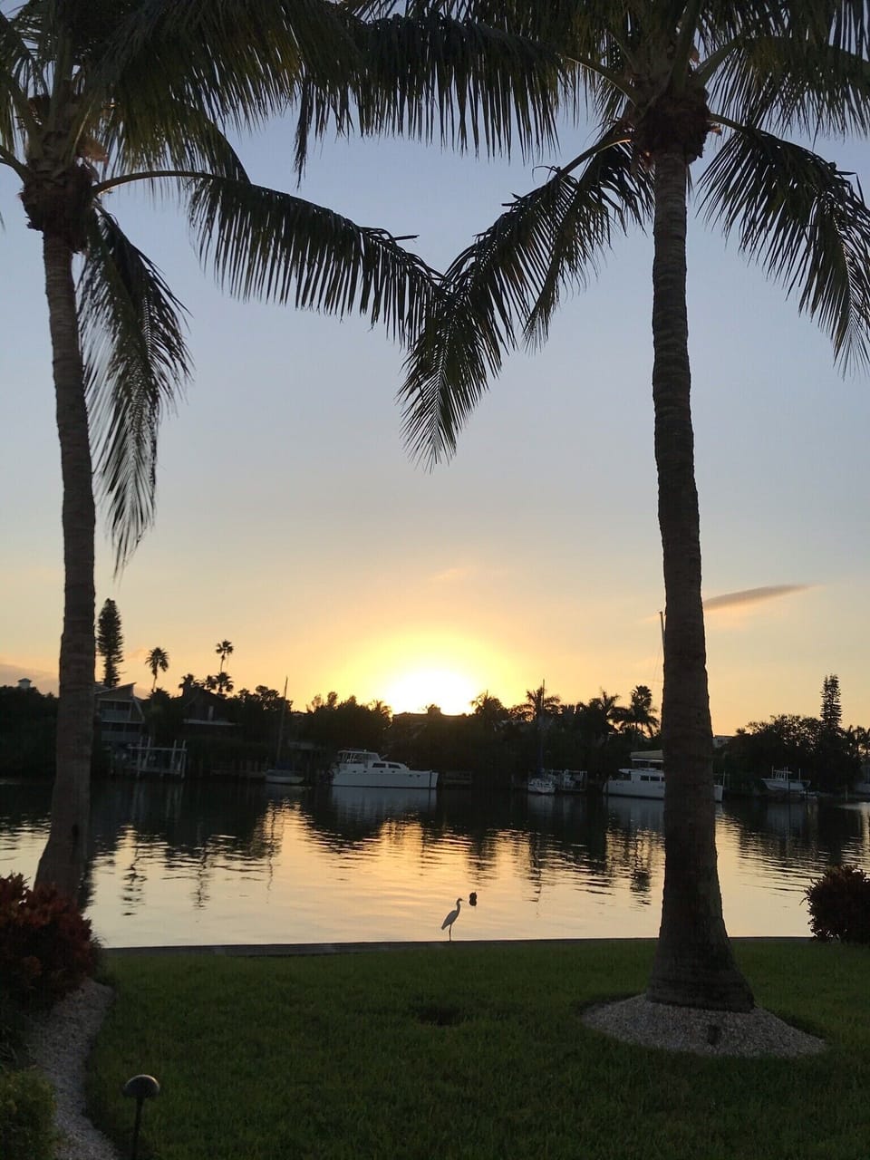 Sunsets, nightly
