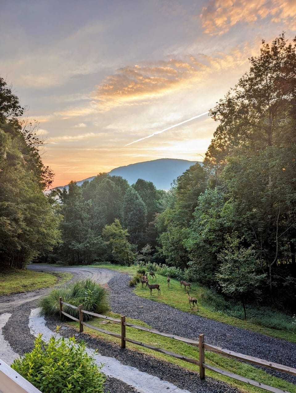 Friends coming to visit