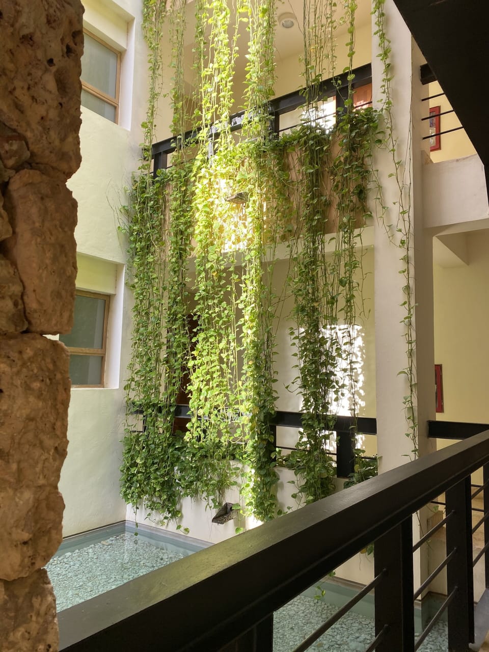 Entrance to the apartment! 