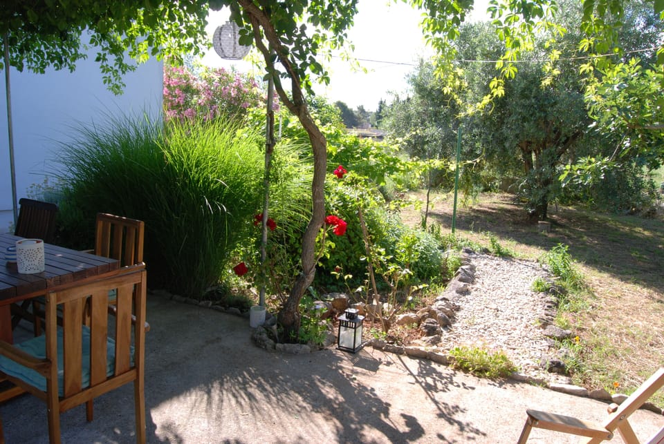 Image 31