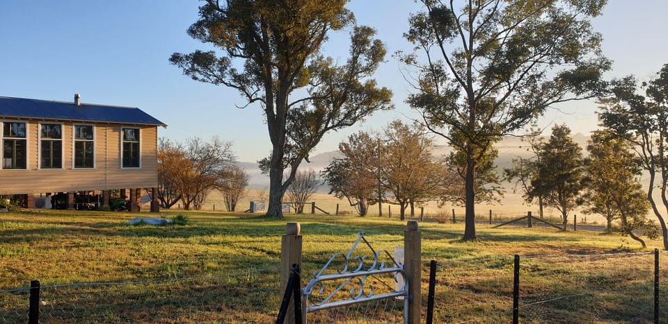 Looking across from the chicken yard.