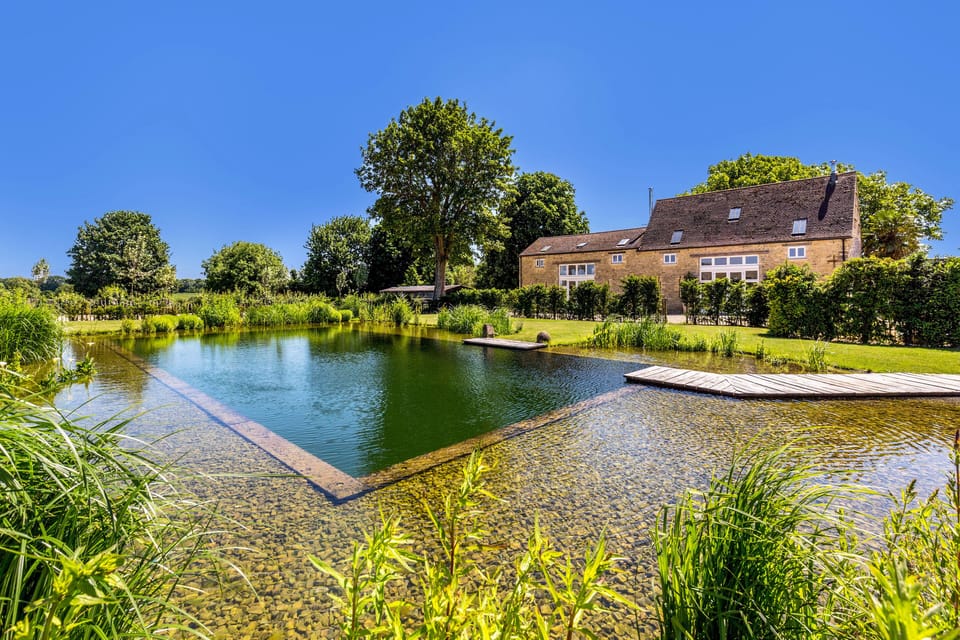 Swim with swallows and dragon flies in the natural pool
