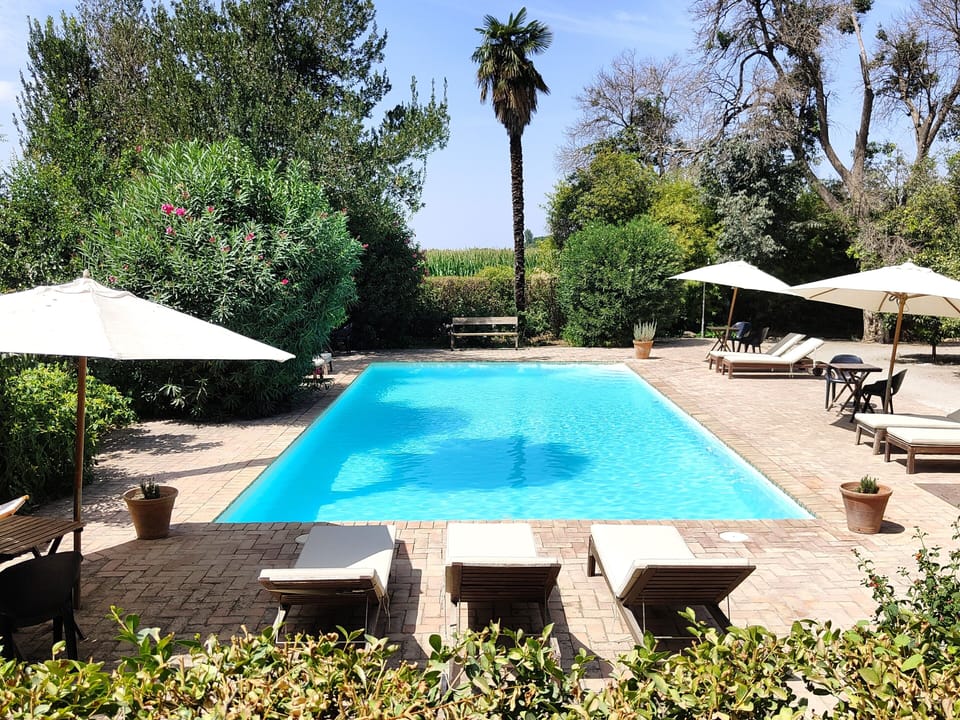 Piscina con solarium rodeada por setos y plantas de olor
