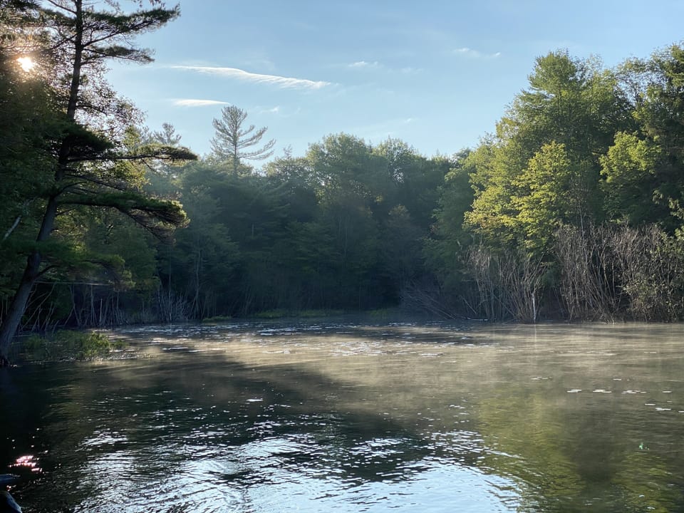 Sunrise mist rising from the water
