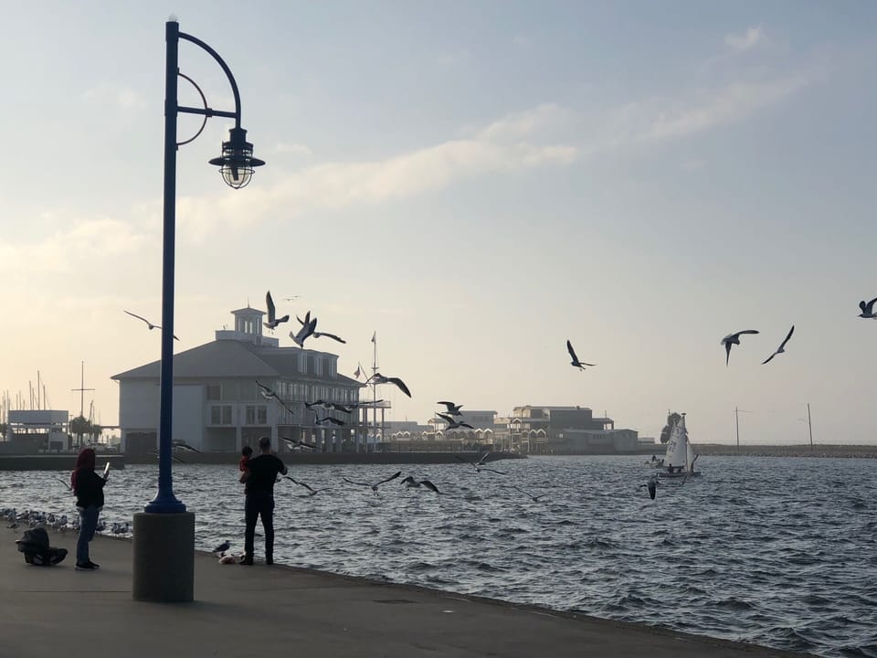 SEA WALL- THIS IS 5 MIN FROM HOUSE- RENT A BIKE!