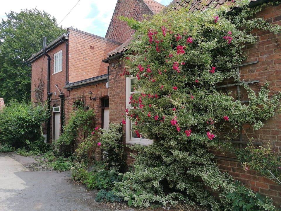 Level access to the house from the drive. 