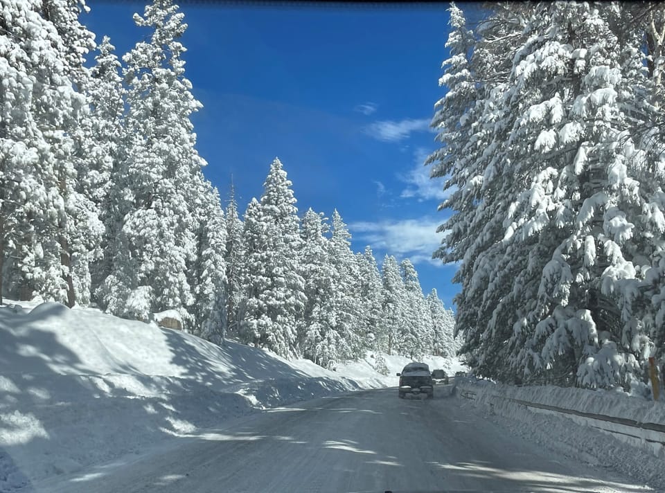 Drive to Snowbowl after a storm, beautiful! 