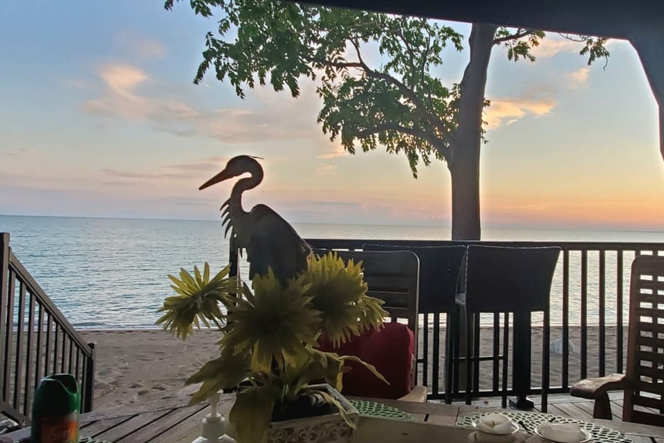 View From Deck