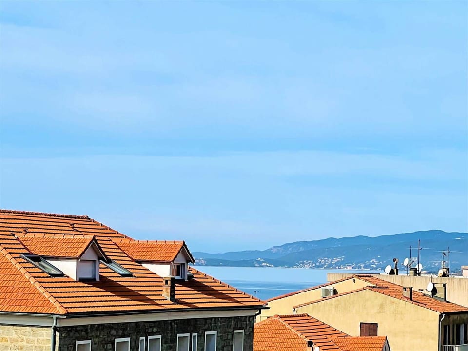 Beach/ocean view