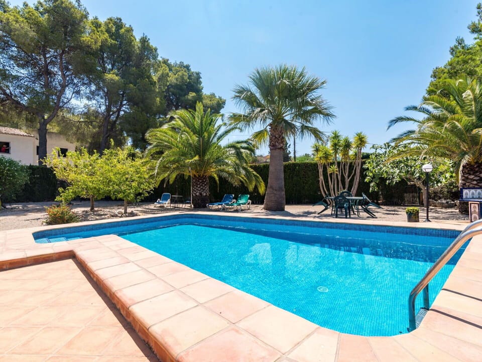 Water, Plant, Sky, Property, Swimming Pool, Tree, Azure, Shade, Arecales, Leisure