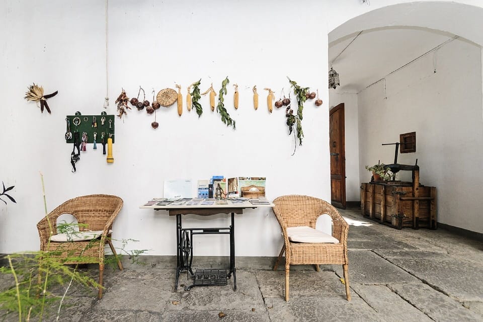 Patio con información y frutos secándose