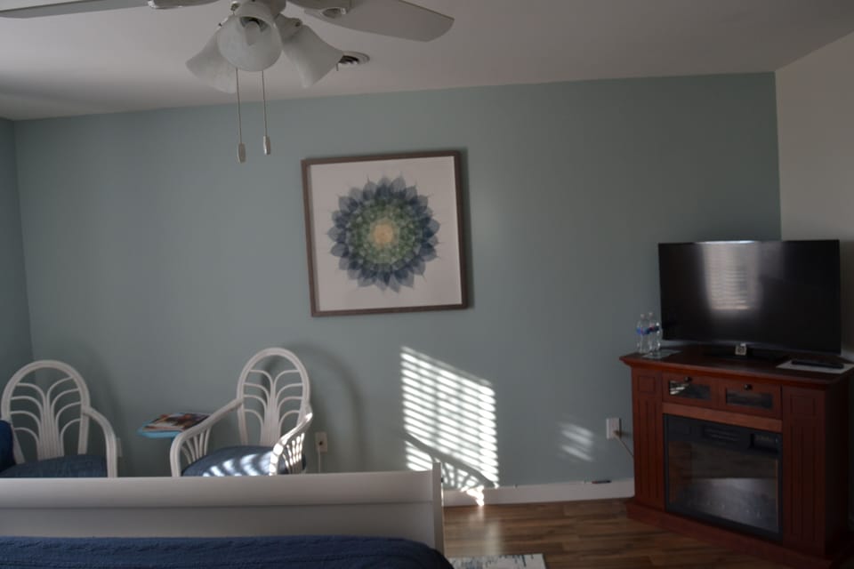 Wolke Suite - seating area, fire place, & 39" flat screen television