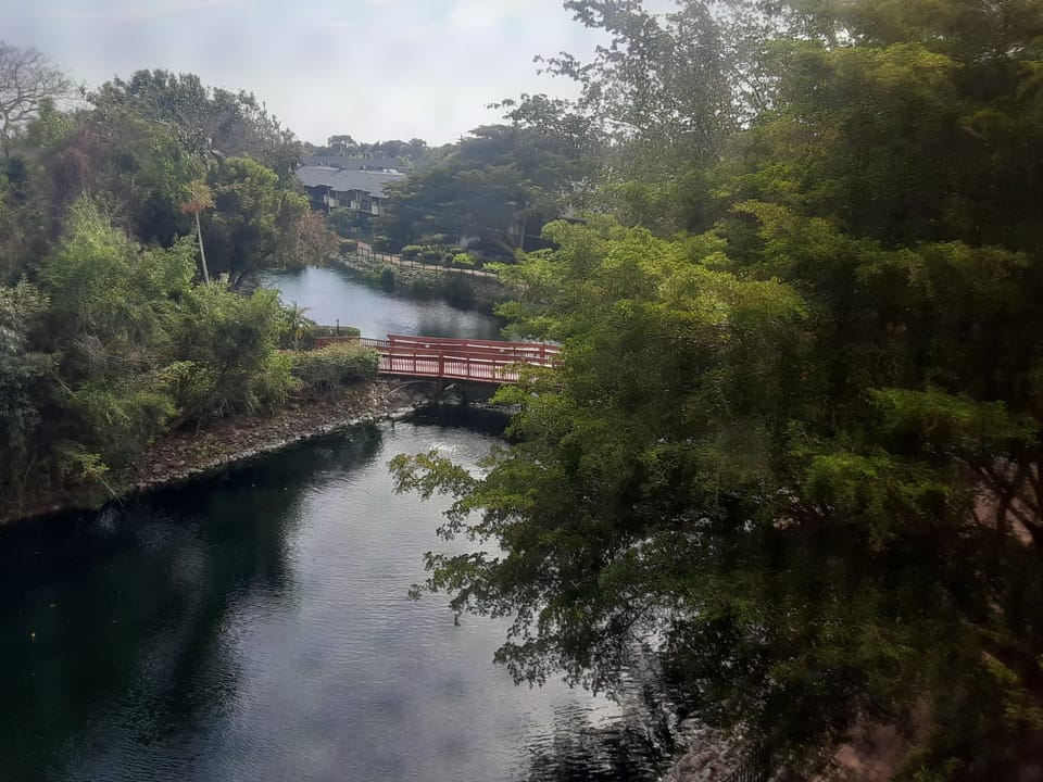 VIEW FROM OUR LANAI