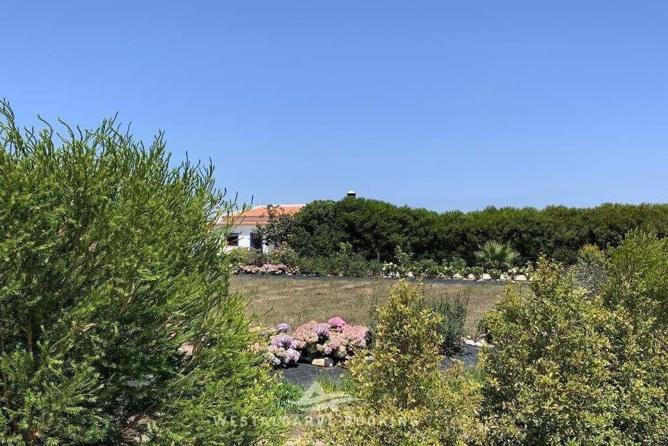 Park in front of the house
