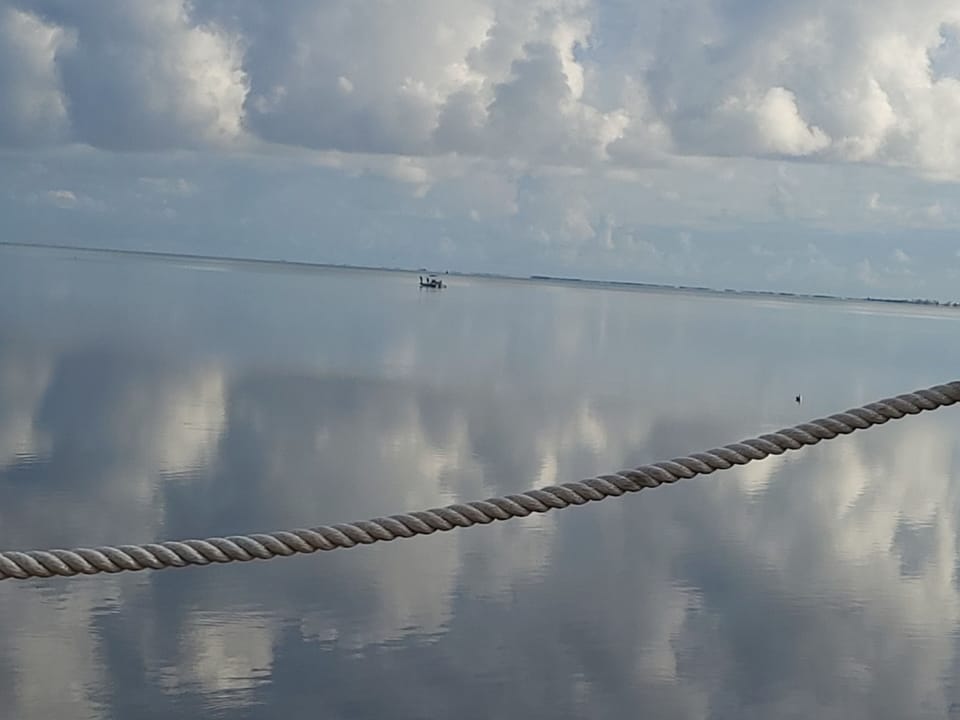 Kayak fishing just yards away...