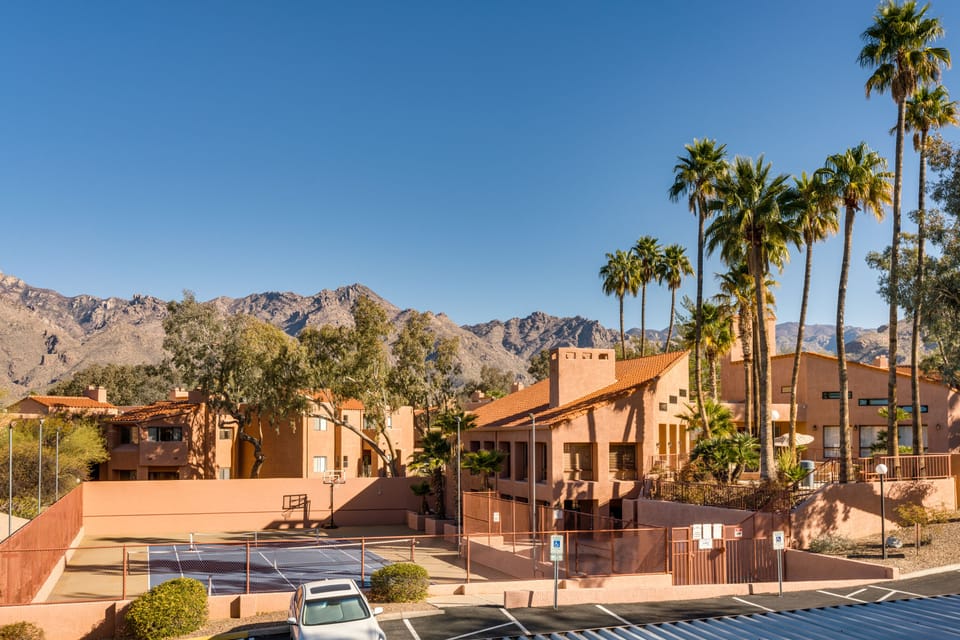 These views from the patio 🏜