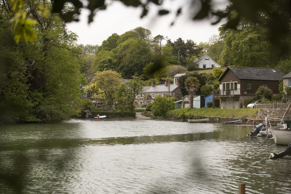 View of cottage from creek
