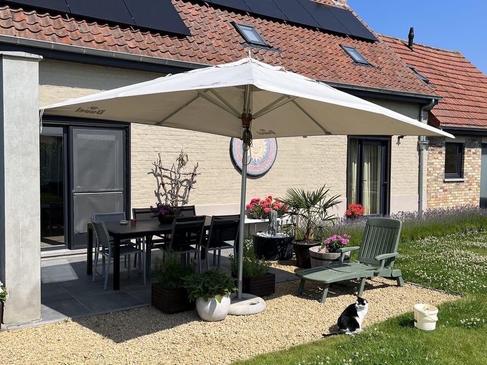 Patio / Balcony