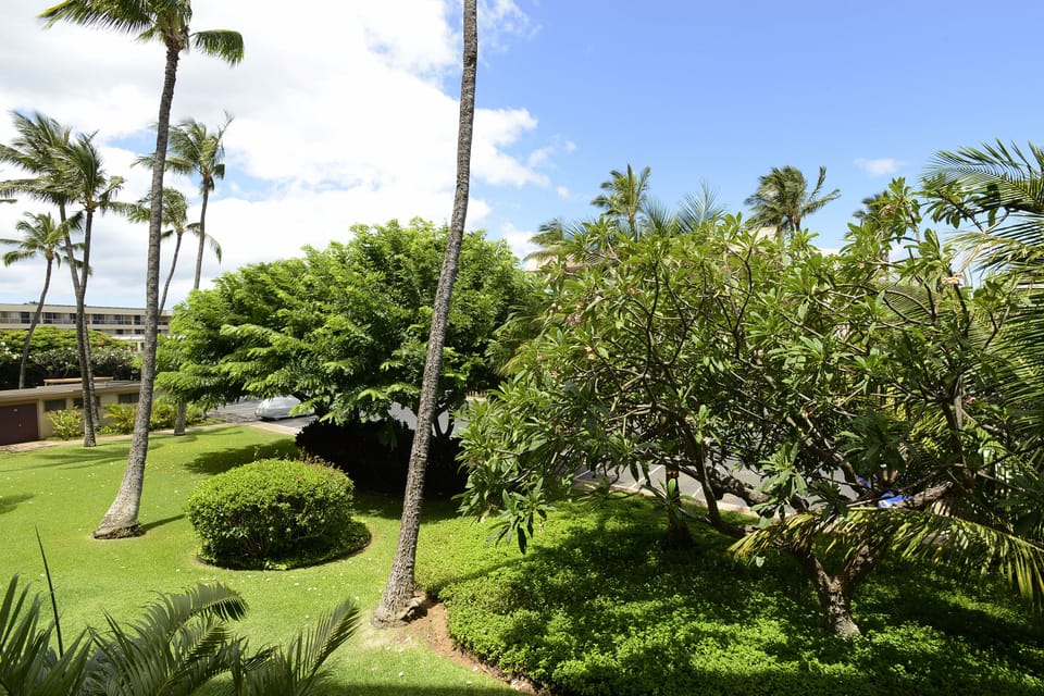 From the Lanai - the Maui dream of waving palms and fragrant plumeria - heaven!