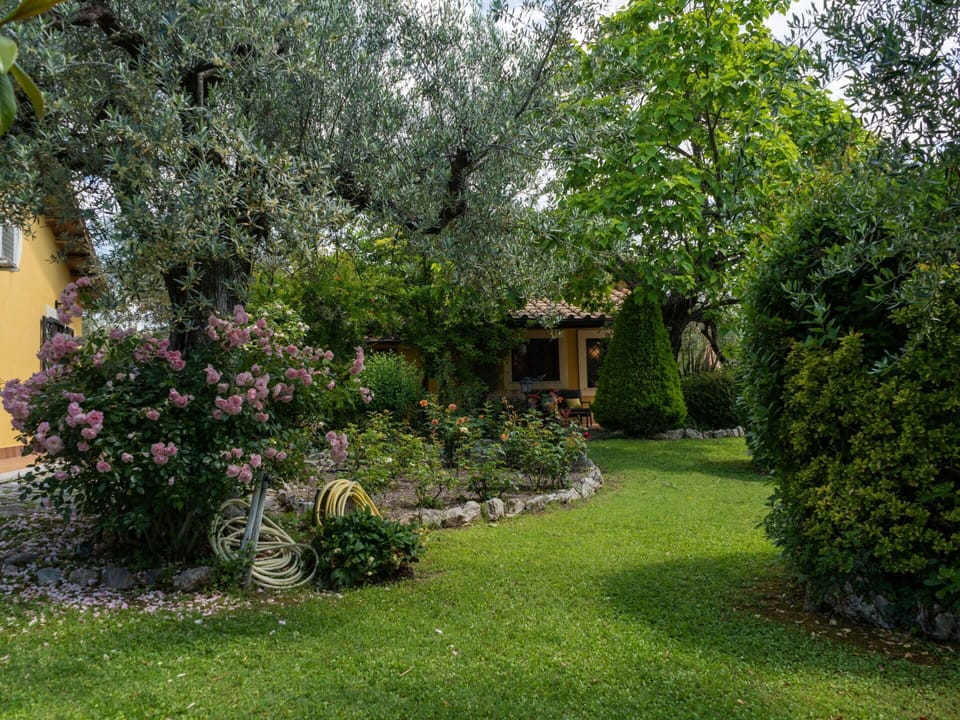 Plant, Flower, Plant Community, Tree, Land Lot, Natural Landscape, Building, Grass, Cottage, Groundcover