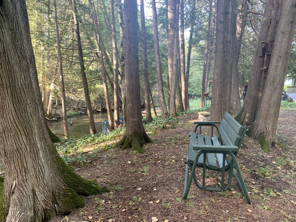 Just relax in the woods 