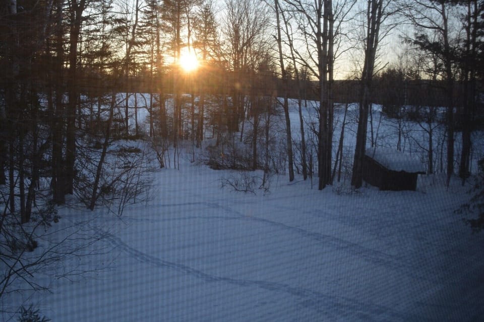 Snowshoe or cross country ski out the back yard 