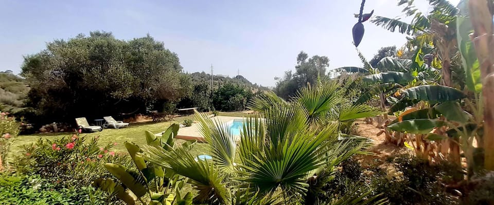 pool, piscina 