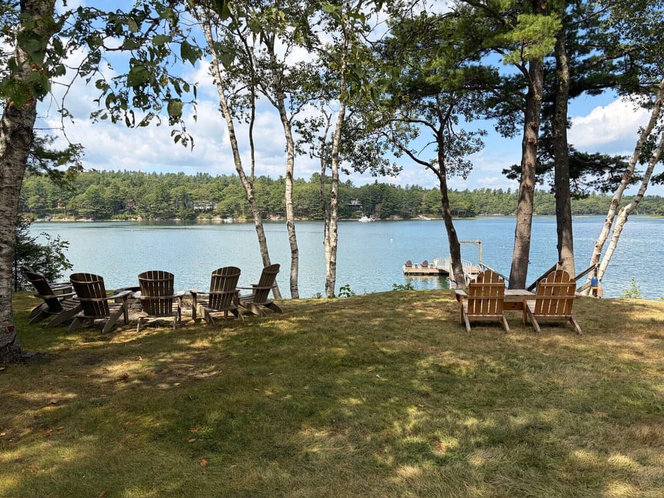 View from the yard