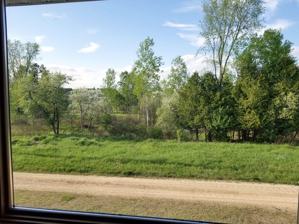 View from the bedrooms