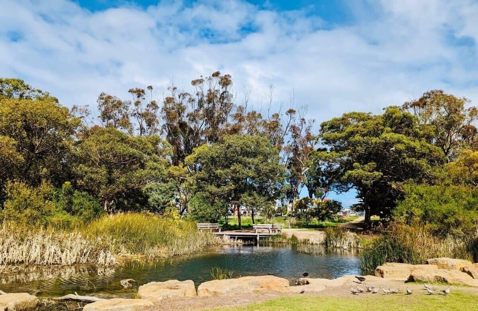 Taylors Park, Torquay