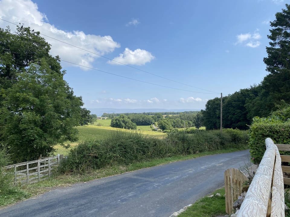 Image 21