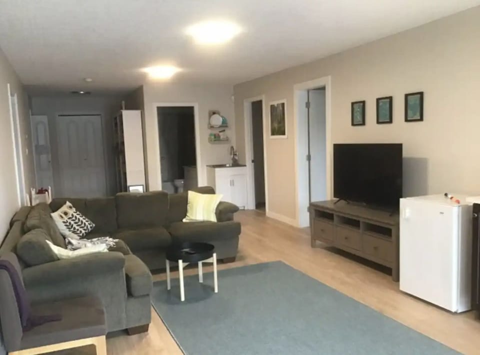 Downstairs TV room
