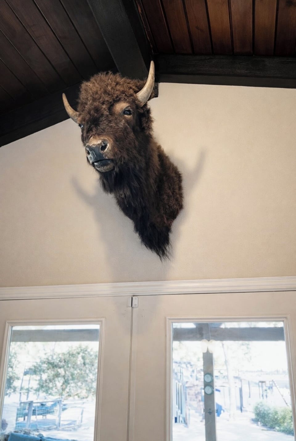 Meet Buffalo Bob